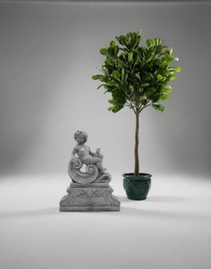 Ornamental 543 543B
