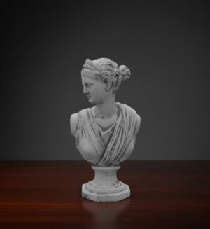 Ornamental 46