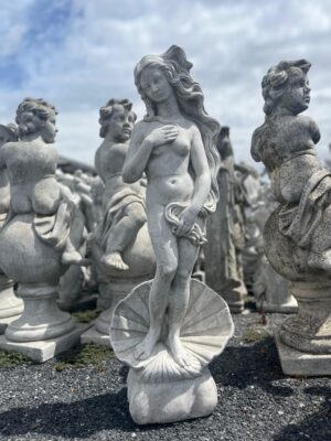 Ornamental 132