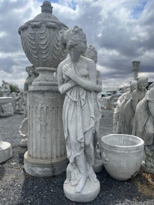 Ornamental 133