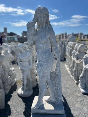 Ornamental 426