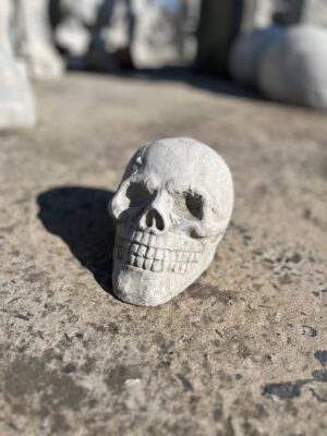 Ornamental 526