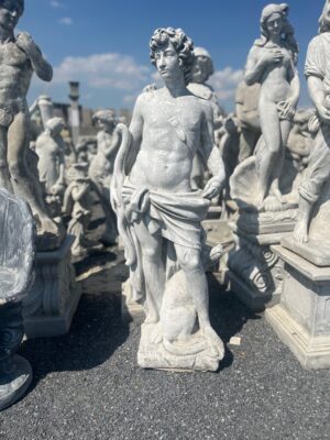 Ornamental 595