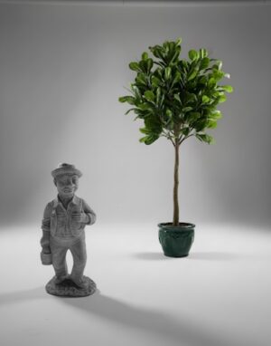 Ornamental 111