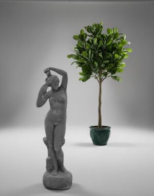 Ornamental 117