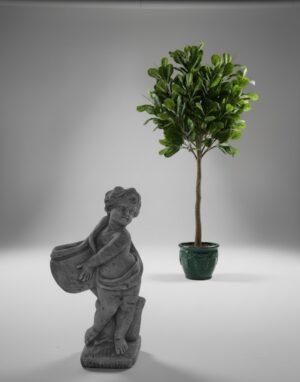 Ornamental 118