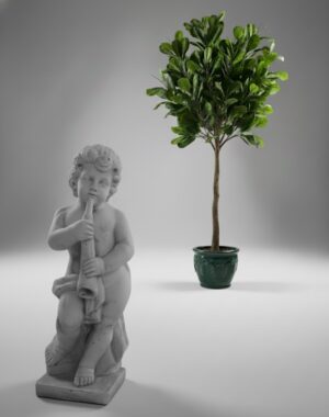 Ornamental 122