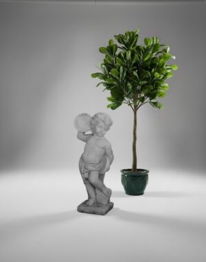 Ornamental 123