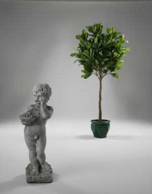 Ornamental 126