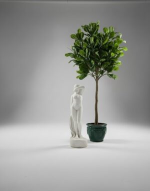 Ornamental 157