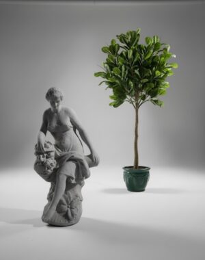 Ornamental 293