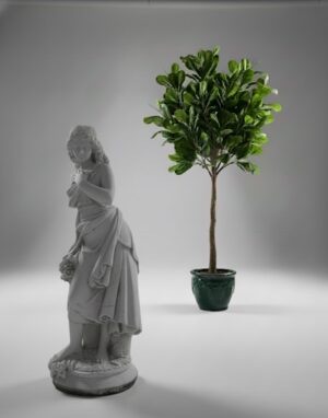 Ornamental 300