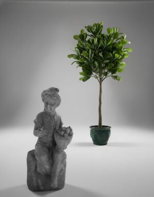 Ornamental 368