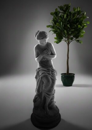 Ornamental 476