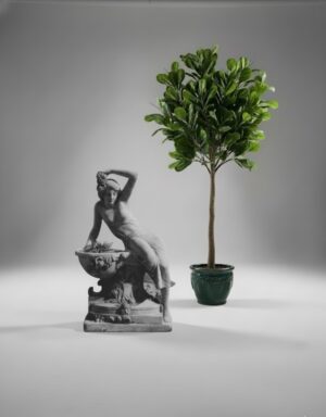 Ornamental 535