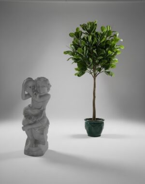 Ornamental 552