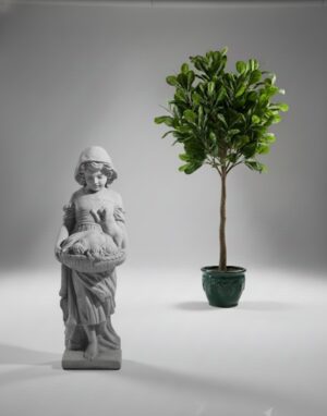 Ornamental 75