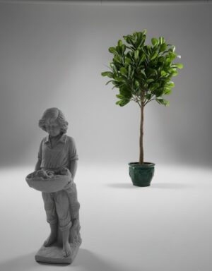 Ornamental 76