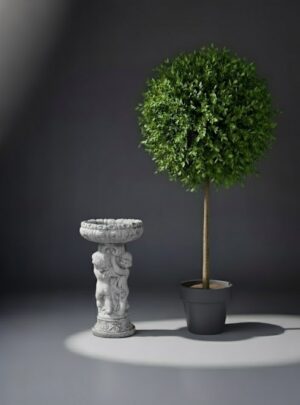 Bird Bath 397