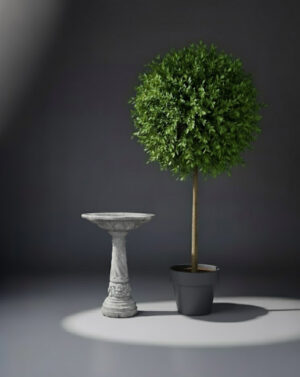 Bird Baths 181