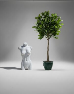 Ornamental 234