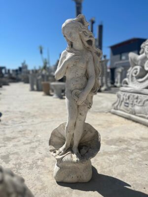 Ornamental 116